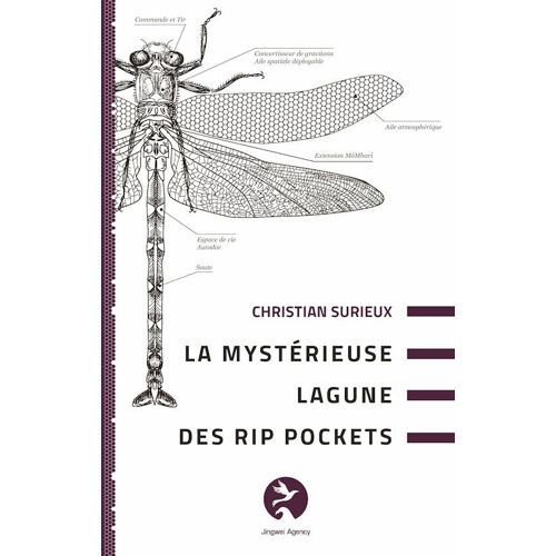 La Mystérieuse Lagune Des Rip Pockets