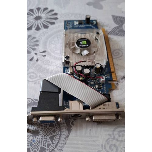 Carte graphique vidéo PCIe GeForce 8400 GS 256 Mo NVIDIA VGA PB KIT