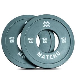 Fractional Weight Plate 0,25 Kg