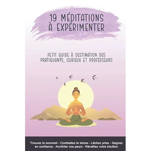 19 Méditations A Experimenter