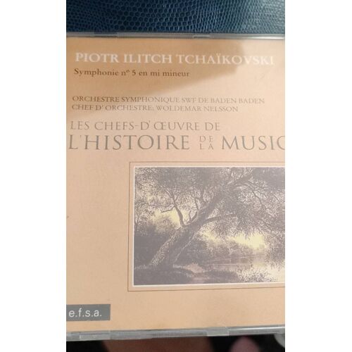 Tchaïkovsky Symphonie 5 En Mi Mineur 