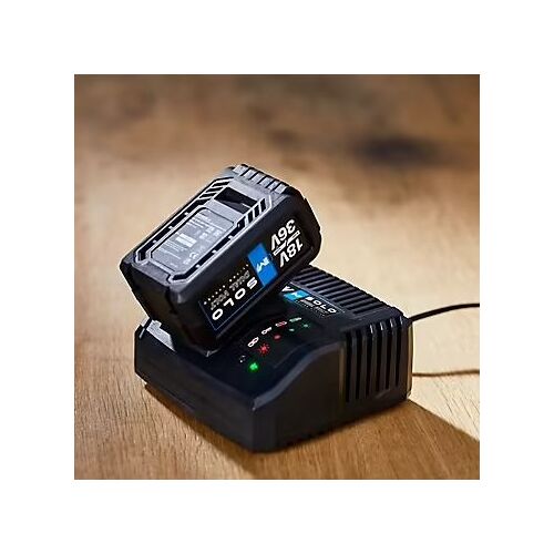 Batterie bitension Mac Allister SOLO 36V 4AH/8AH + chargeur