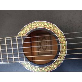 Guitare Shelffied