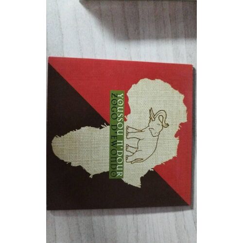 Youssou N Dour / Zogo D'Ewondo