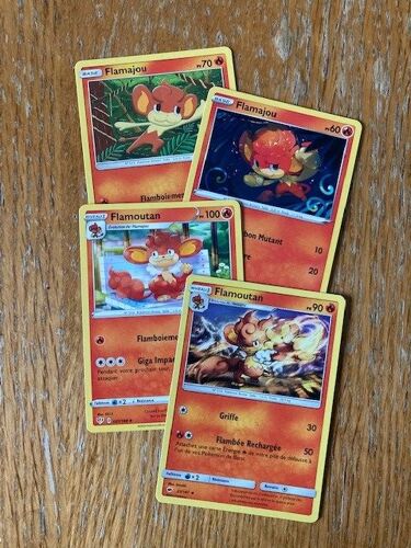 (2139) 2x Flamajou + 2x Flamoutan (Pokemon)
