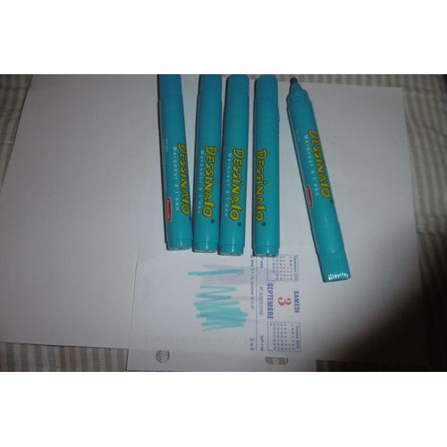 Marqueurs À L'eau Dessinalo Turquoise Reynolds 224 Lot De 5