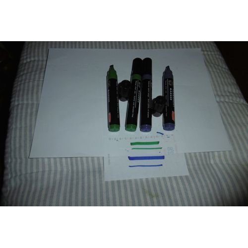 Marqueurs Permanents Pointe Biseautée Reynolds 221 Lot De 4 Bleu Et Vert