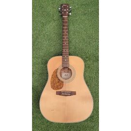 Guitare Folk Cort Earth70lh