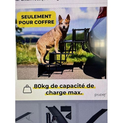 Escalier, Rampe De Voiture Pour Chien, Ouimet