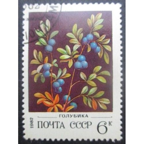 Russie N°4888 Airelle Oblitéré