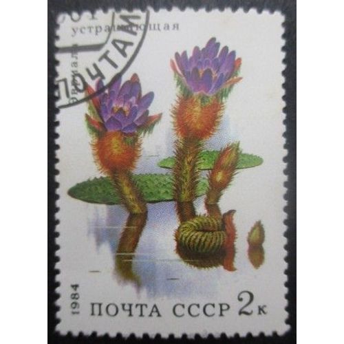 Russie N°5096 Plante Aquatique Oblitéré