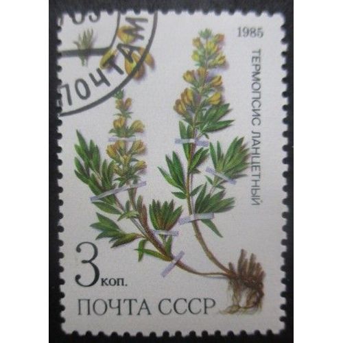 Russie N°5233 Plante Médicinale Oblitéré