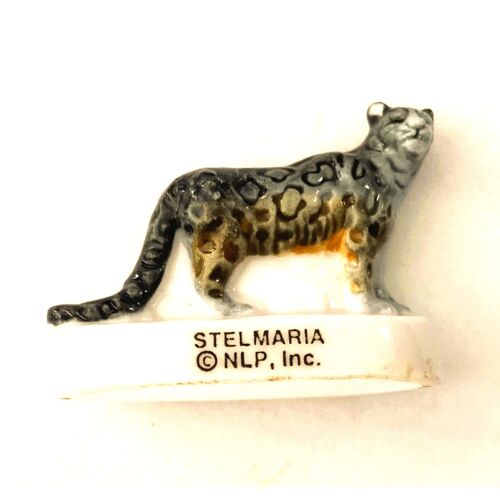 Feve Brillante Stelmaria Serie A La Croisee Des Mondes