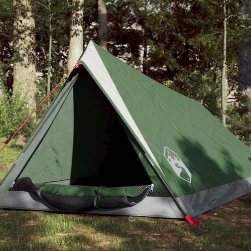 Vidaxl Tente De Camping 2 Personnes Vert Imperméable