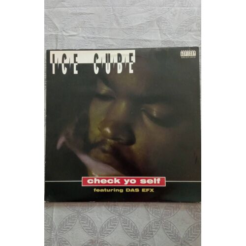 Ice Cube Feat Das Efx - Check Yo Self