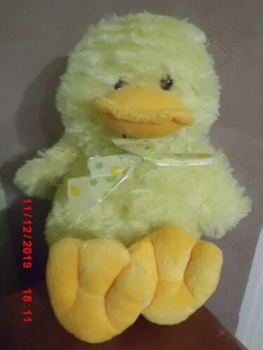Canard Jaune Et Orange Snc