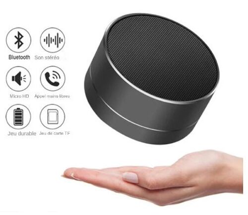 Mini Haut-parleur Noir BT Liminaux avec Caisson de Basse - Prise des appels - Radio FM Musique PLAY BOX