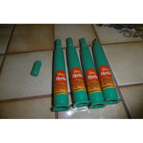 Marqueurs Permanent Grande Capacité Vert Tempo Marker Papermate Lot De 4