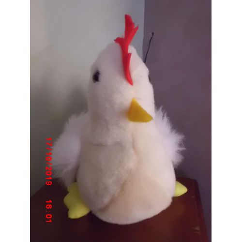 Poule Jaune Blanche Cp