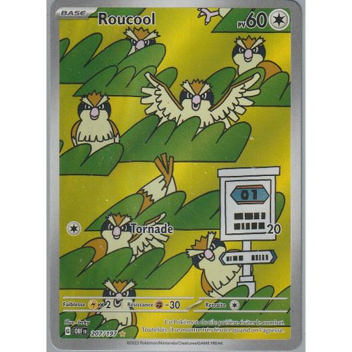 Carte Pokémon - Roucool - 207/197 - Secrète-Rare - Ev3 Flammes Obsidiennes