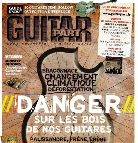 Guitar Part N° 316 : Danger Sur Les Bois De Nos Guitares