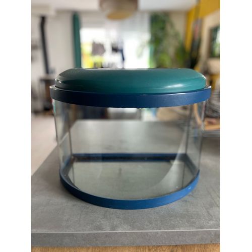 Aquarium Bleu Ludique – Idéal Débutant