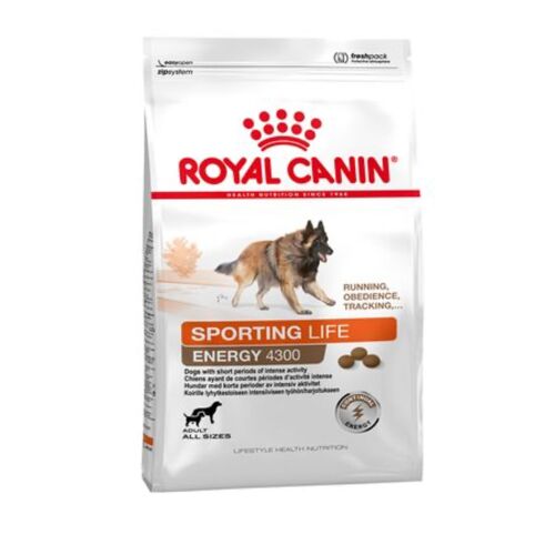 Croquettes Royal Canin 4300