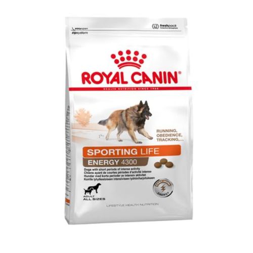 Croquettes Royal Canin 4300