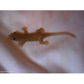 Gecko En Plastique A Coller Long <: 9cm