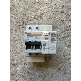 Disjoncteur différentiel merlin Guerin C32N