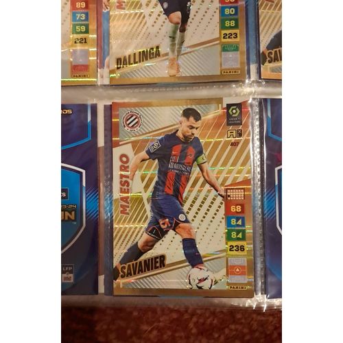 Carte Maestro Adrenalyn Xl Savanier