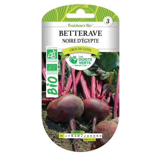 Betterave Noire D'Egypte Bio