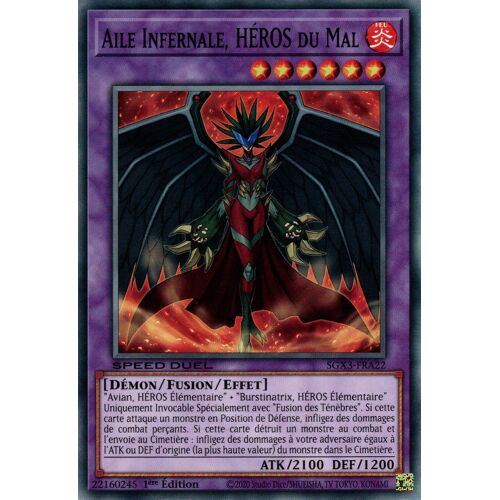 Yu Gi Oh Sgx3 Fra22 Aile Infernale Héros Du Mal