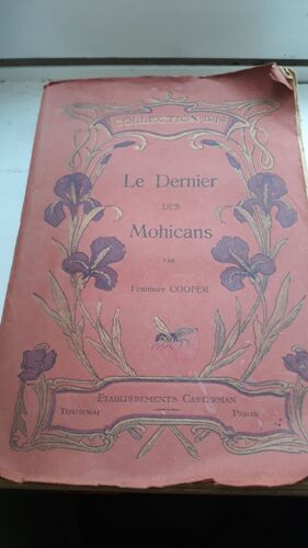 Le Dernier Des Mohicans