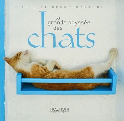 La Grande Odyssée Des Chats