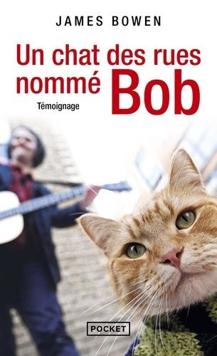 Un Chat Des Rues Nommé Bob