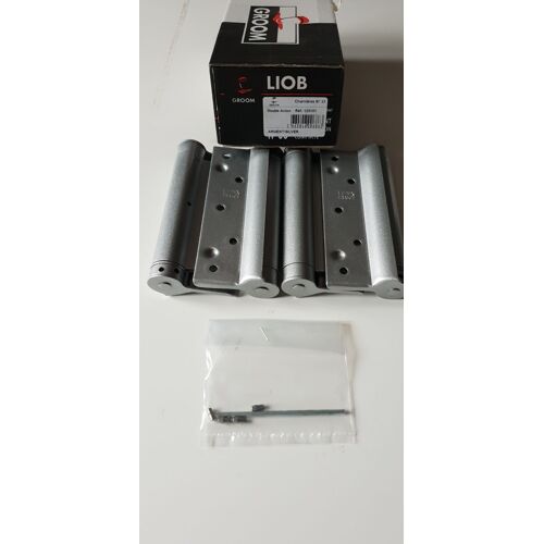 Charnières doubles action GROOM / LIOB N° 33