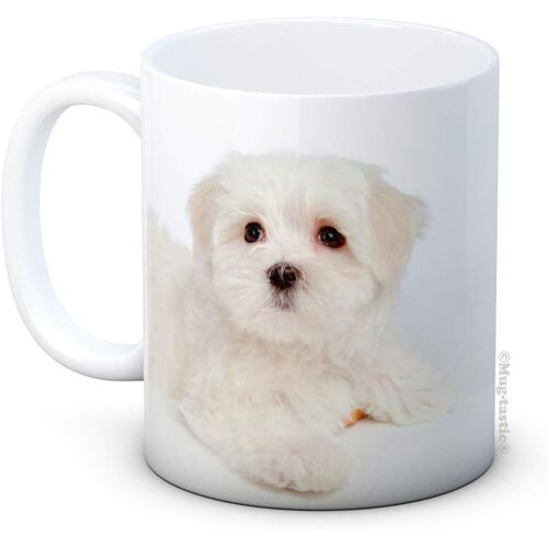 Maltese Terrier Dog Puppy - Bichon - Ceramic Coffee Mug