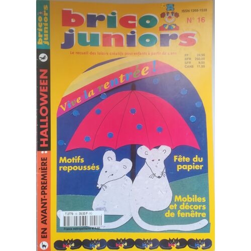 Brico Juniors : Vive La Rentrée ! (16) Loisirs Créatifs À Partir De 4 Ans