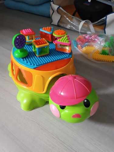tortue d'éveil