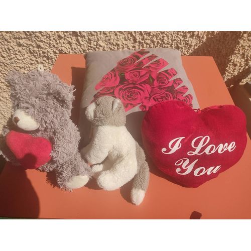 Lot peluche et coussin