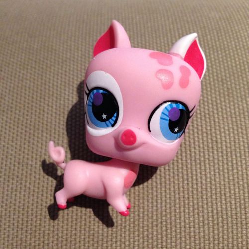 Petshop Cochon 2766