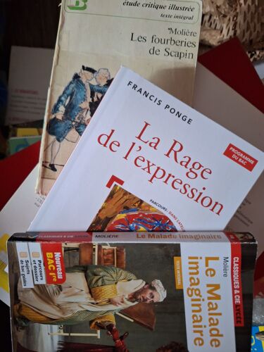 Lycée Bac Français, Moliere,Ponge