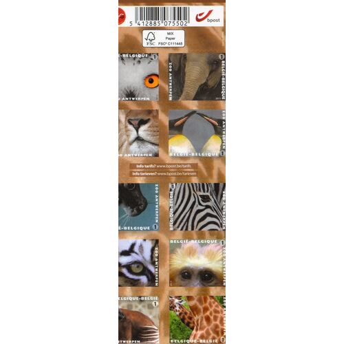 Belgique Timbres Animaux Du Zoo D'Anvers 2013