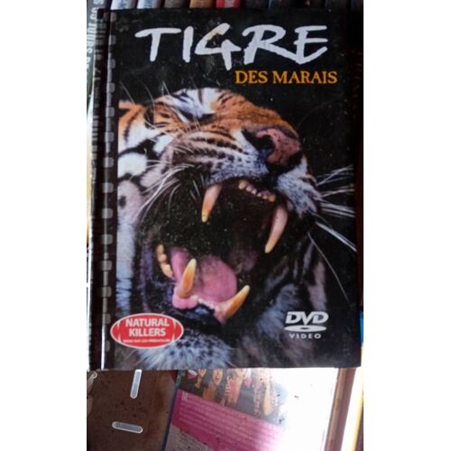 Tigre Des Marais