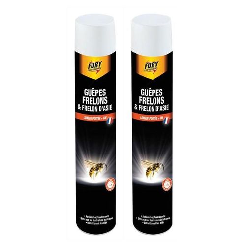 Fury Lot de 2 Aérosols 750 ml Guêpes Frelons et Frelons d'Asie