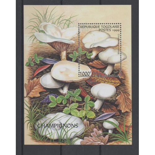 Togo Timbres Les Champignons