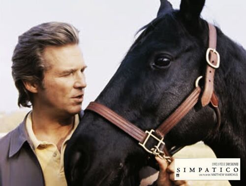 Simpatico : Jeu De 8 Photos D'Exploitation Cinématographique - Format 21x28 Cm - De Matthew Warchus Avec Nick Nolte, Jeff Bridges, Sharon Stone, Albert Finney, Catherine Keener - 1999