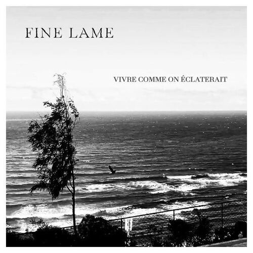 Vivre Comme On Éclaterait - Cd Album