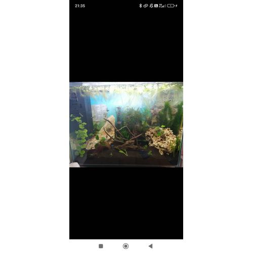 Aquarium Superfish 80l